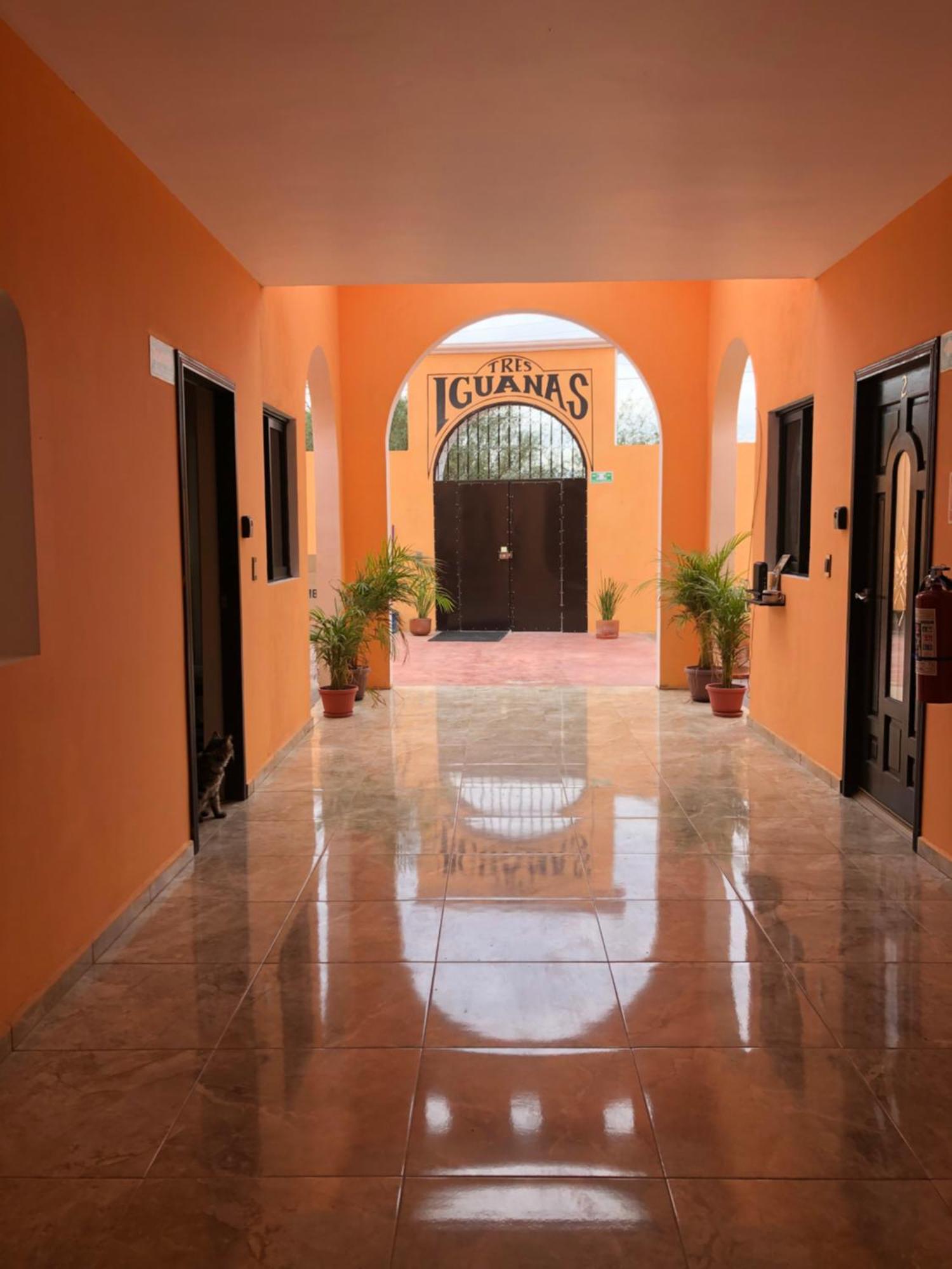 Tres Iguanas Apart Hotel - New, Cozy & Spacious Flats, Short Walk To Beach Loreto  Eksteriør billede