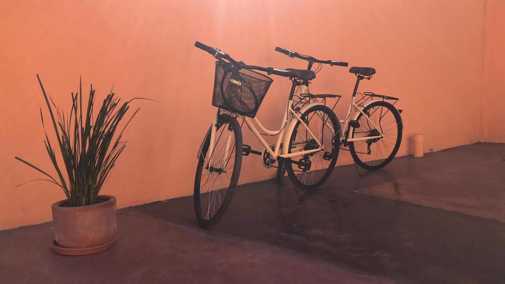 Tres Iguanas Apart Hotel - New, Cozy & Spacious Flats, Short Walk To Beach Loreto  Eksteriør billede