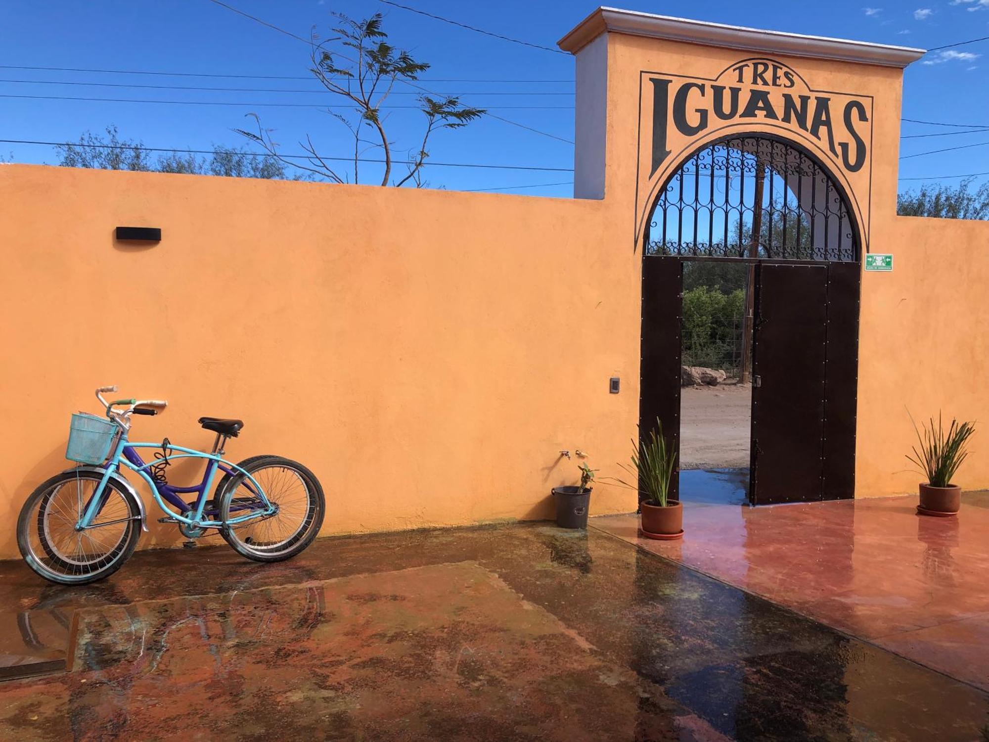 Tres Iguanas Apart Hotel - New, Cozy & Spacious Flats, Short Walk To Beach Loreto  Eksteriør billede