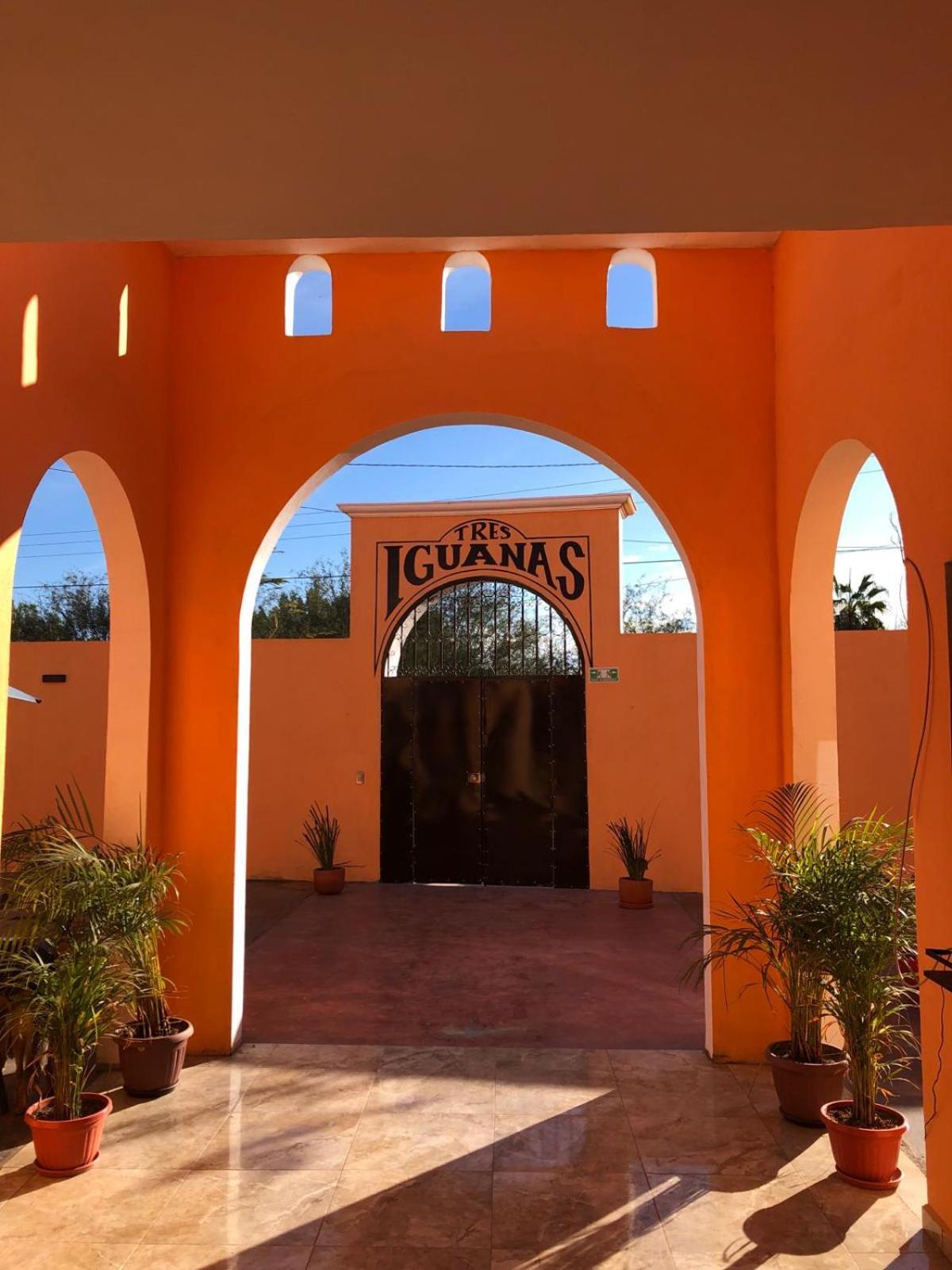 Tres Iguanas Apart Hotel - New, Cozy & Spacious Flats, Short Walk To Beach Loreto  Eksteriør billede