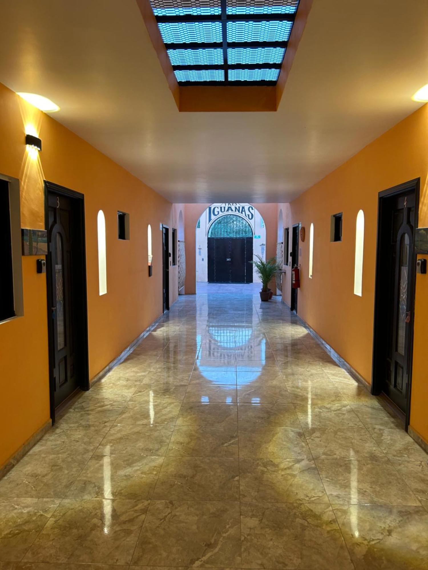 Tres Iguanas Apart Hotel - New, Cozy & Spacious Flats, Short Walk To Beach Loreto  Eksteriør billede