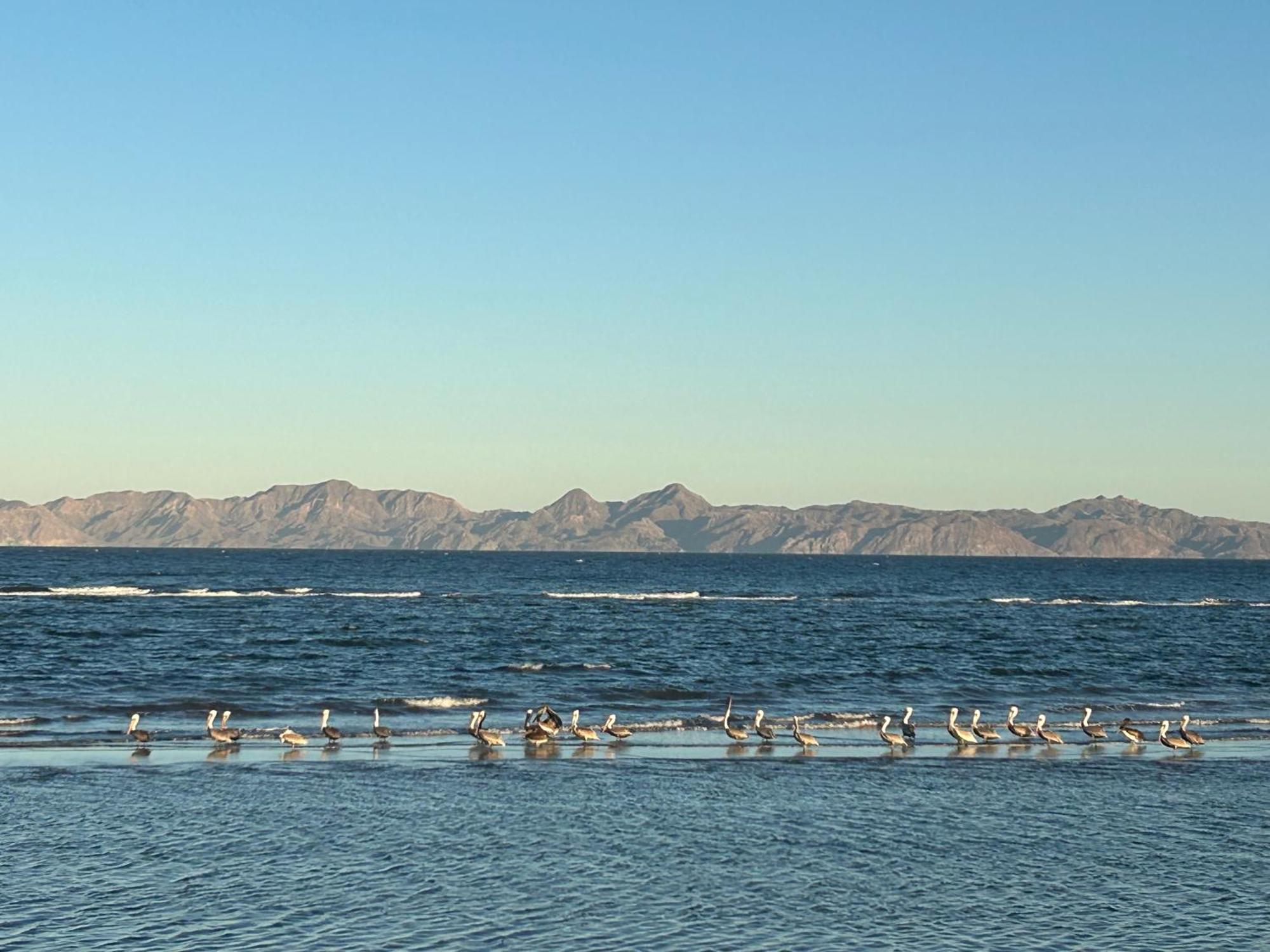 Tres Iguanas Apart Hotel - New, Cozy & Spacious Flats, Short Walk To Beach Loreto  Eksteriør billede