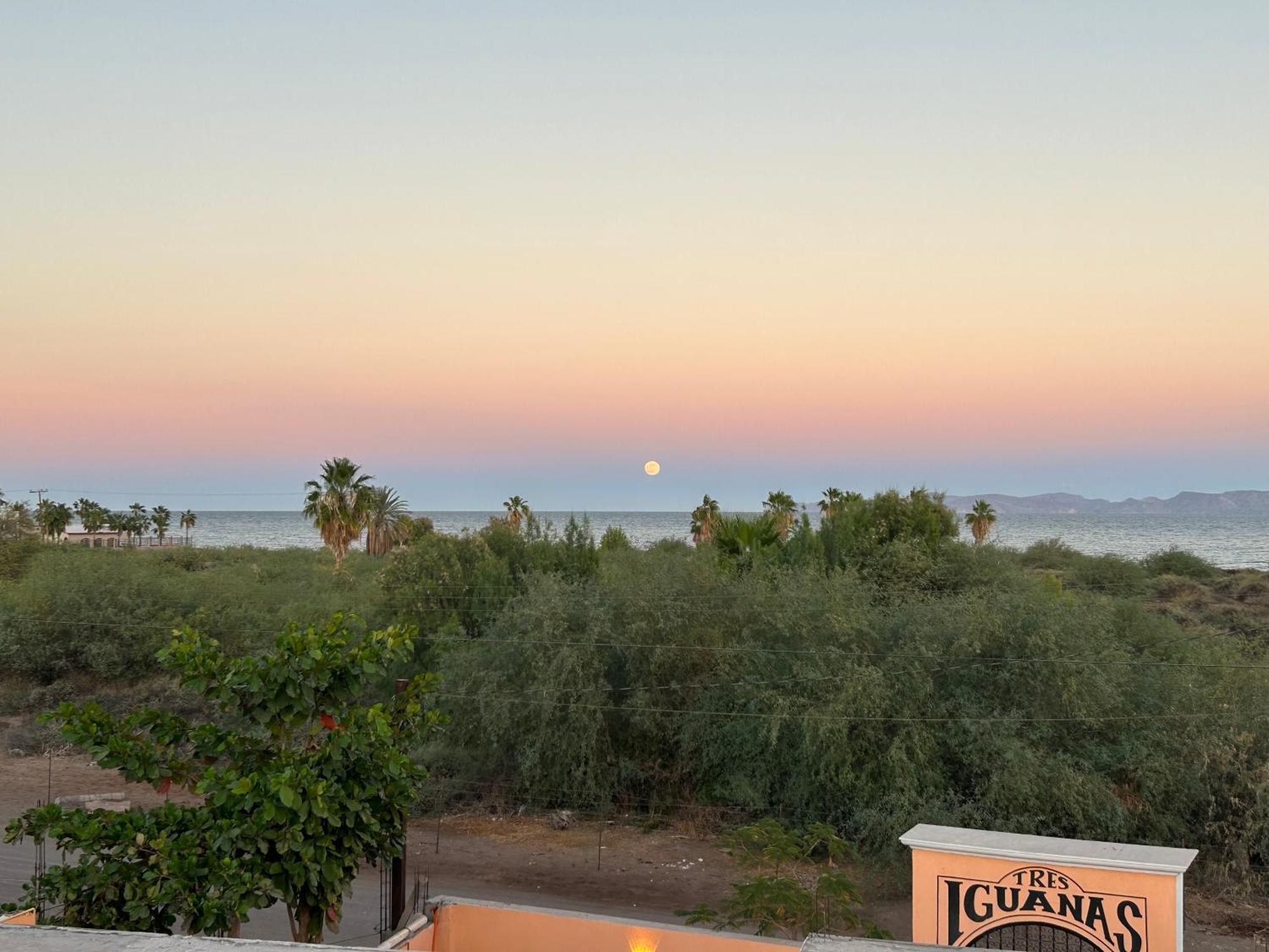 Tres Iguanas Apart Hotel - New, Cozy & Spacious Flats, Short Walk To Beach Loreto  Eksteriør billede